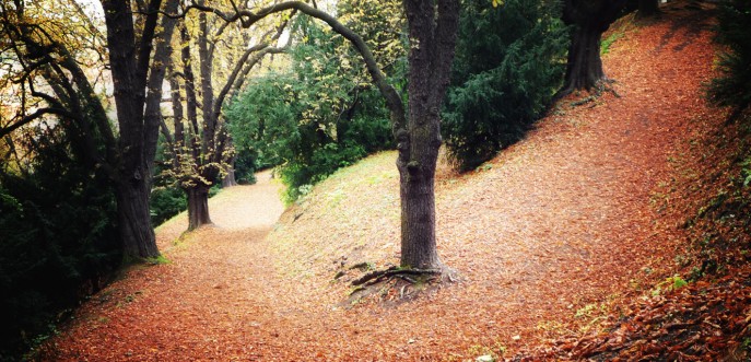 Photo couleur de l'automne à Prague, République Tchèque