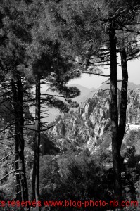 Les Calanches de Piana, côte Corse