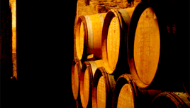 Photo couleur de tonneaux de vin dans une cave à Vergisson, Bourgogne