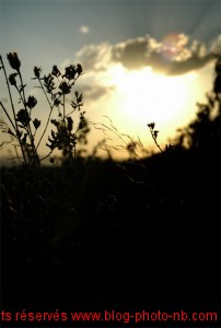 Coucher de soleil sur les Mont d'Or - la nature au coeur !