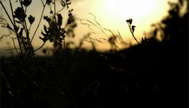 Photo couleur d'un couché de soleil sur les Monts d'Or, Rhône