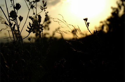 Photo couleur d'un couché de soleil sur les Monts d'Or, Rhône