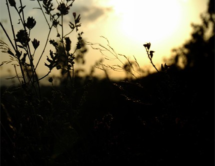 Photo couleur d'un couché de soleil sur les Monts d'Or, Rhône