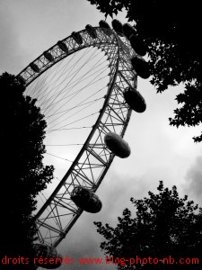 La Grande roue de Londres