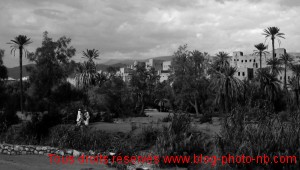 Les casbahs de Ouarzazte et son oasis - désert du Maroc