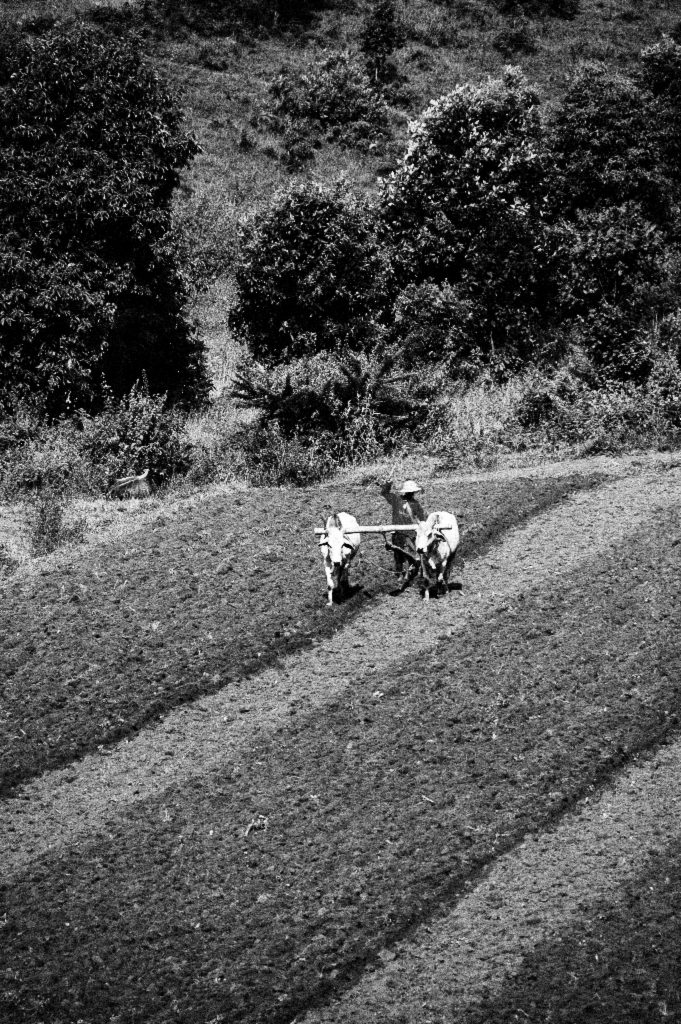 Paysan birman entre Kalaw et Pindaya