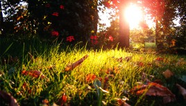 Photo couleur d'un soir d'été en Haute Saône