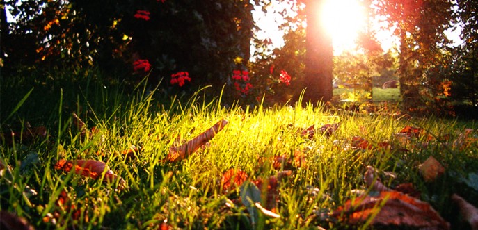 Photo couleur d'un soir d'été en Haute Saône